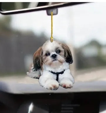 Acrylic cartoon-design car pendant hanging accessory for vehicle interior.