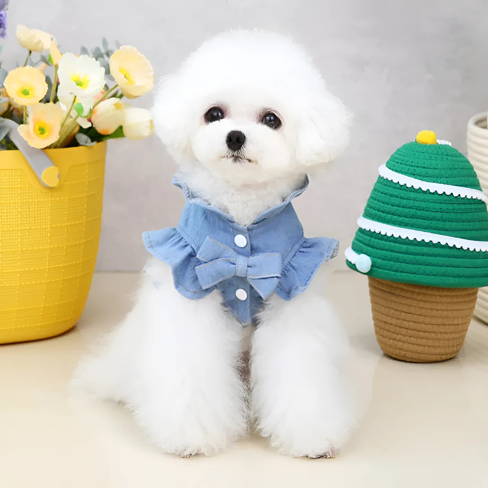 Blue denim dog dress with ruffles vest detail and a metal leash hook on the chest.