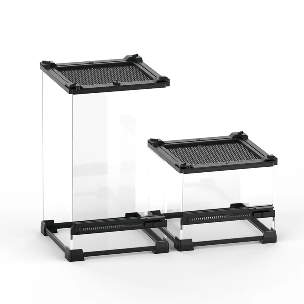 Transparent glass cylinder for lizard and turtle climbing in terrarium