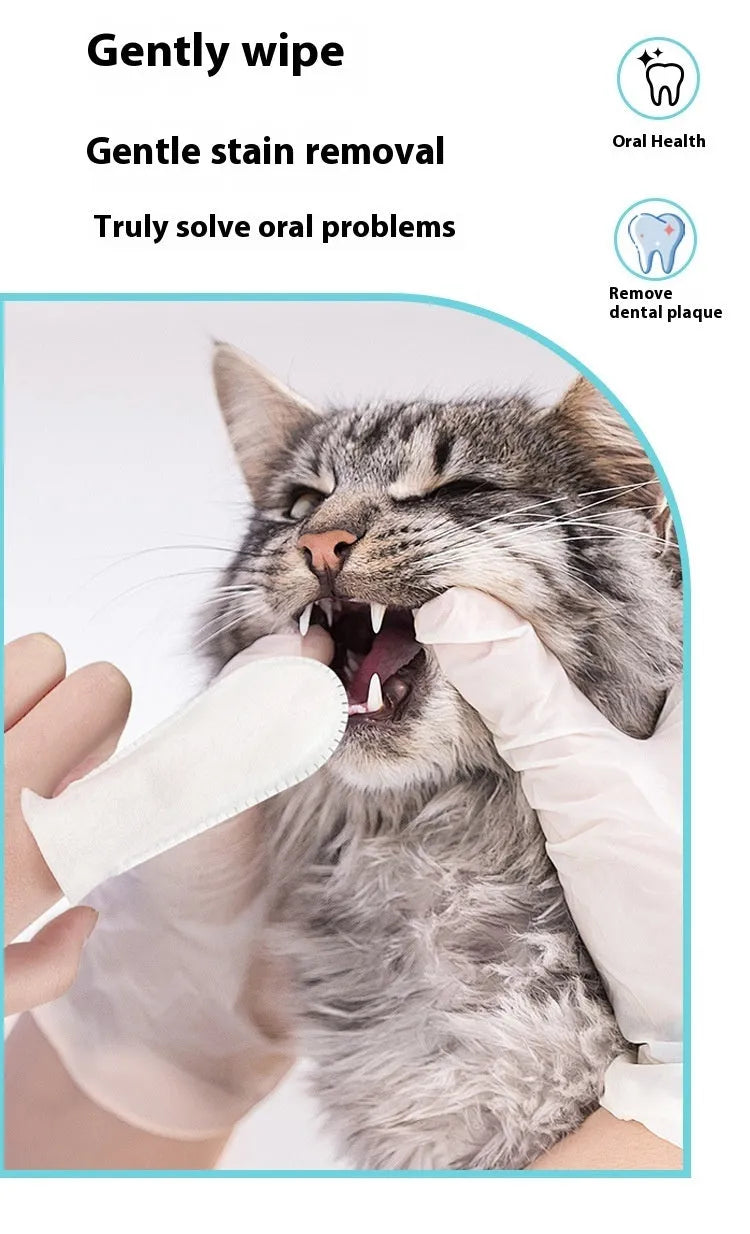 Pack of 50 soft non-woven fabric finger stalls for cleaning cat and dog teeth.