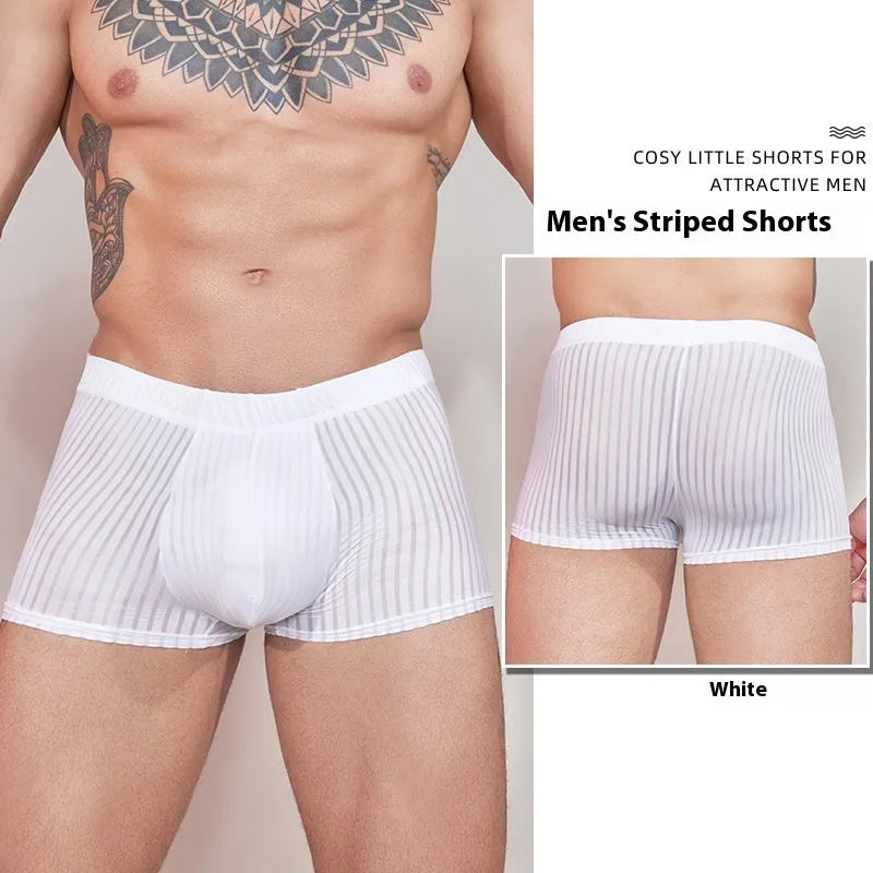 Men's striped underwear in thin transparent nylon fabric on a white background