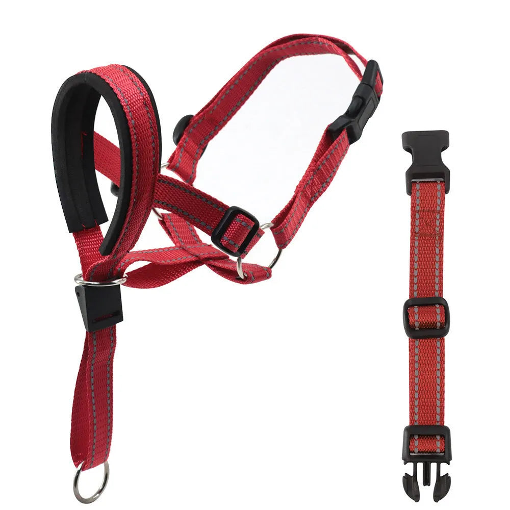 Nylon dog muzzle in blue on white background for bite and bark control