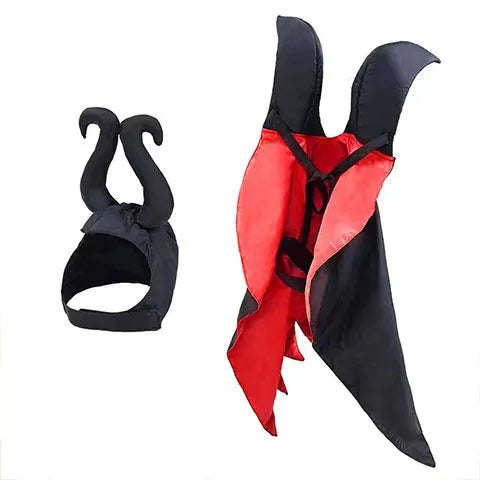 Red bat wing cloak and pointed hat Halloween costume set on a small dog.