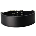 Fish-shaped leather dog collar in five colours with 5cm width and adjustable sizing