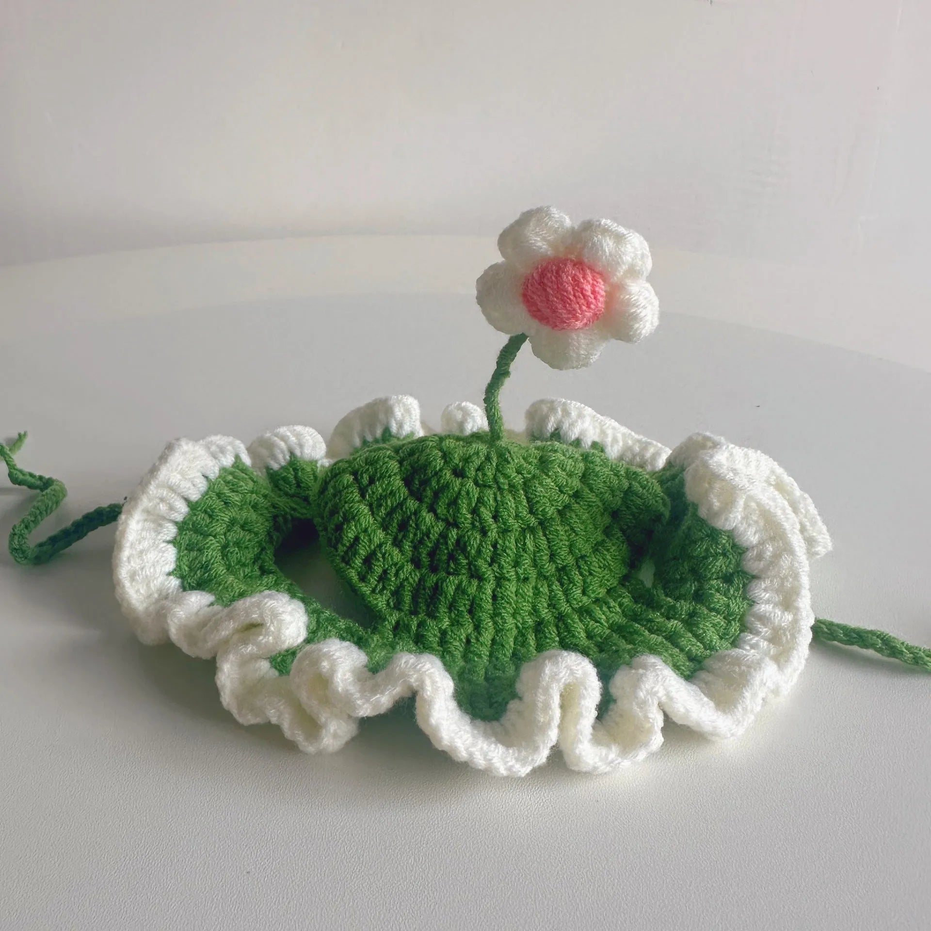 Green knitted cat hat with cartoon design on a small dog