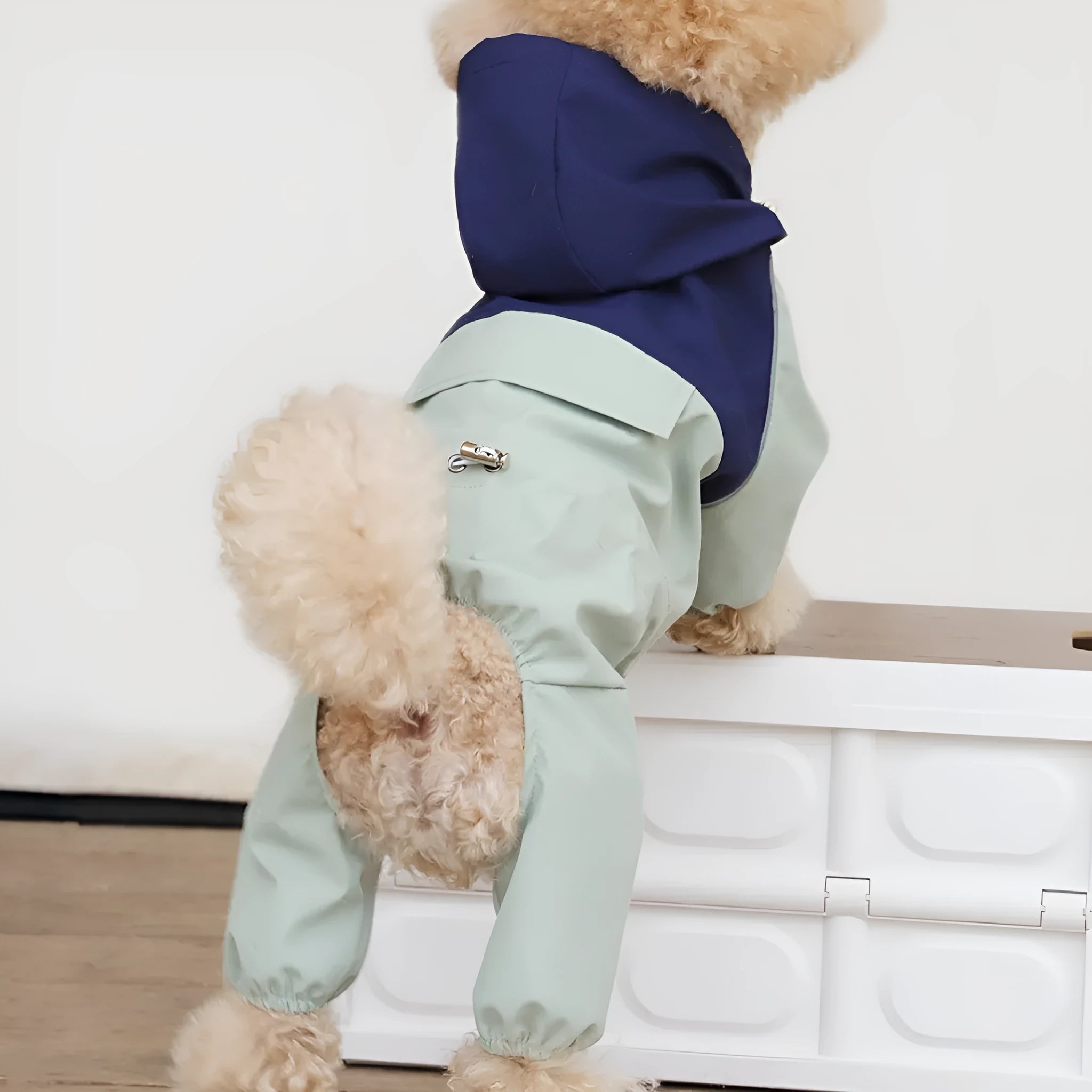 Khaki coloured waterproof shell jacket on a small dog, showing adjustable belly strap and high collar.