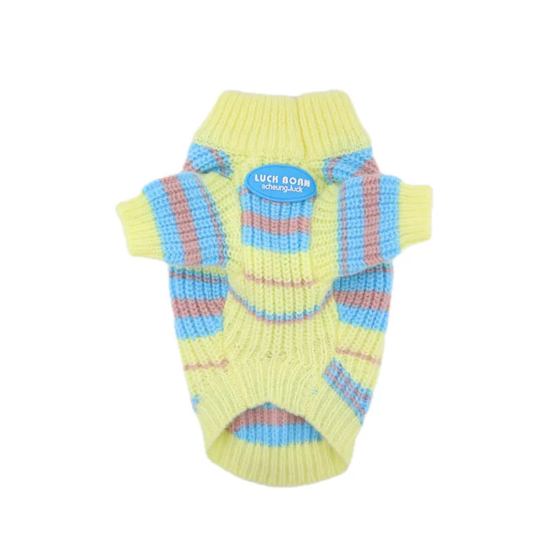 Blue and yellow striped wool jumper for small dog on autumn winter background
