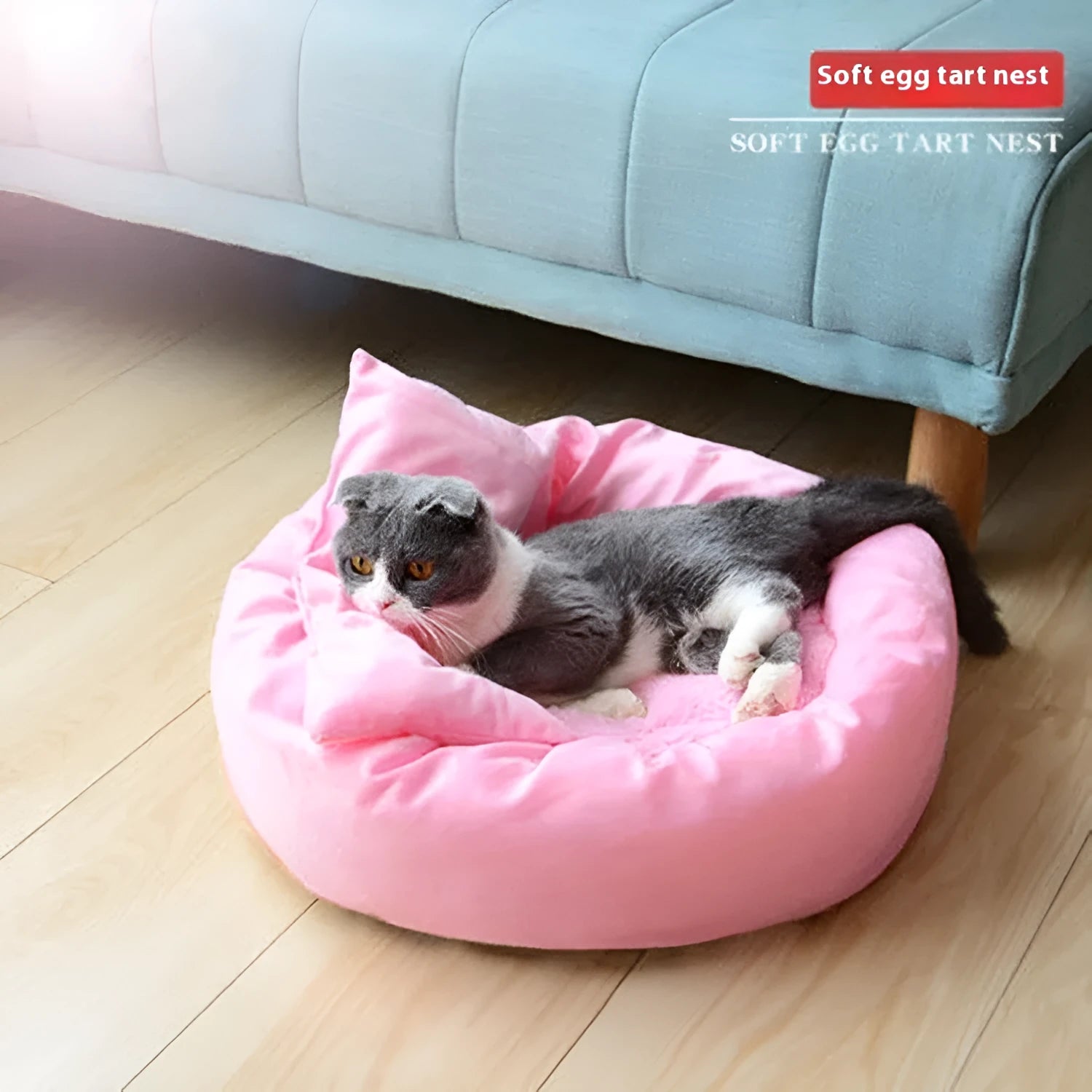 Circular dog bed with PP cotton filling in light grey colour showing measured diameter and optional pillow