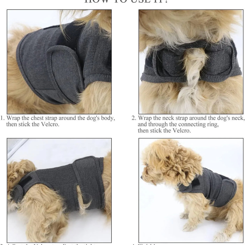 Classic Dog Anxiety Jacket breathable thunder vest in a neutral colour, shown on a calm dog, with multiple size options from XS to XXXL
