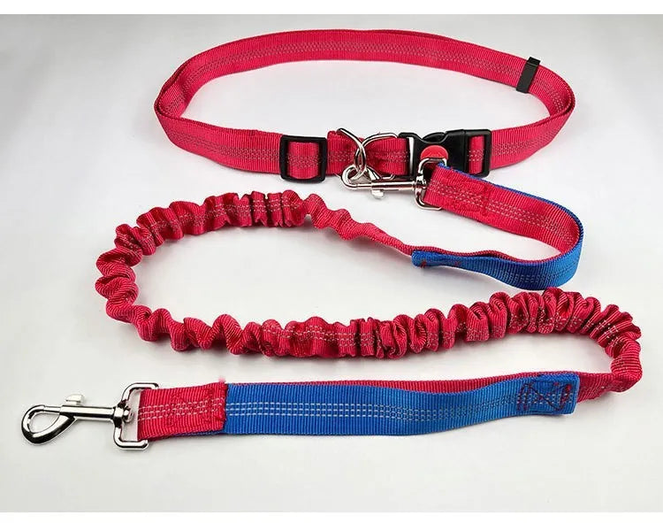 Gray and green nylon dog leash with reflective filament sling for outdoor night safety