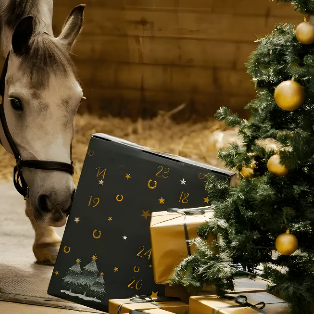 Fringe and tassel advent calendar in equestrian blind box style, modern art design made from PVC