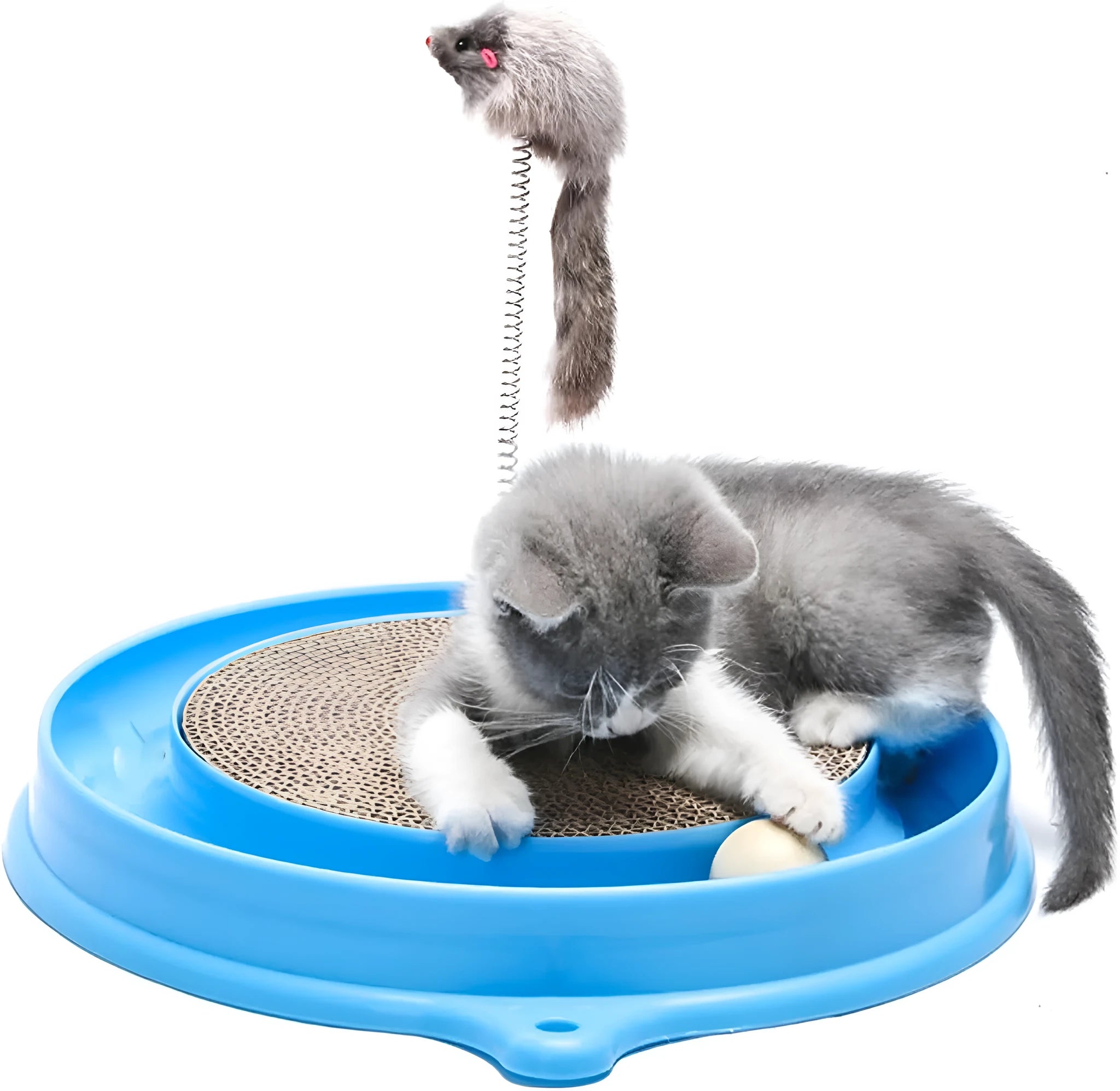 Blue cat scratcher toy with ball track, replaceable scratch pad, and mouse swatter on corrugated cardboard base
