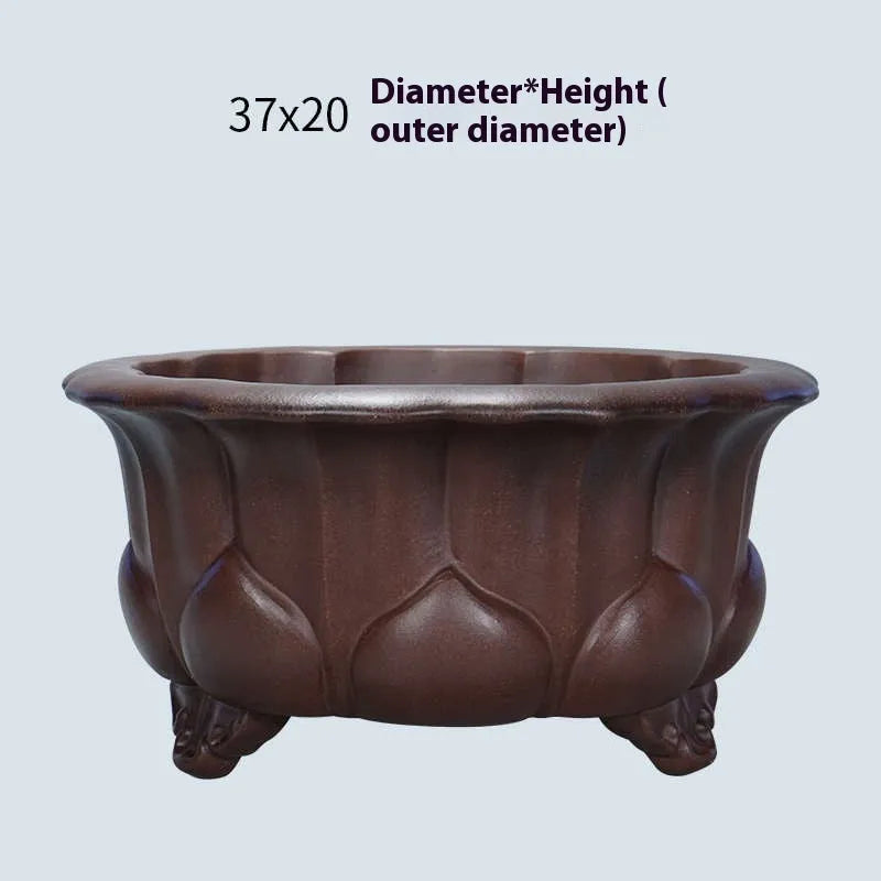 Square purple-red ceramic succulent planter with classical flared rim on a table.