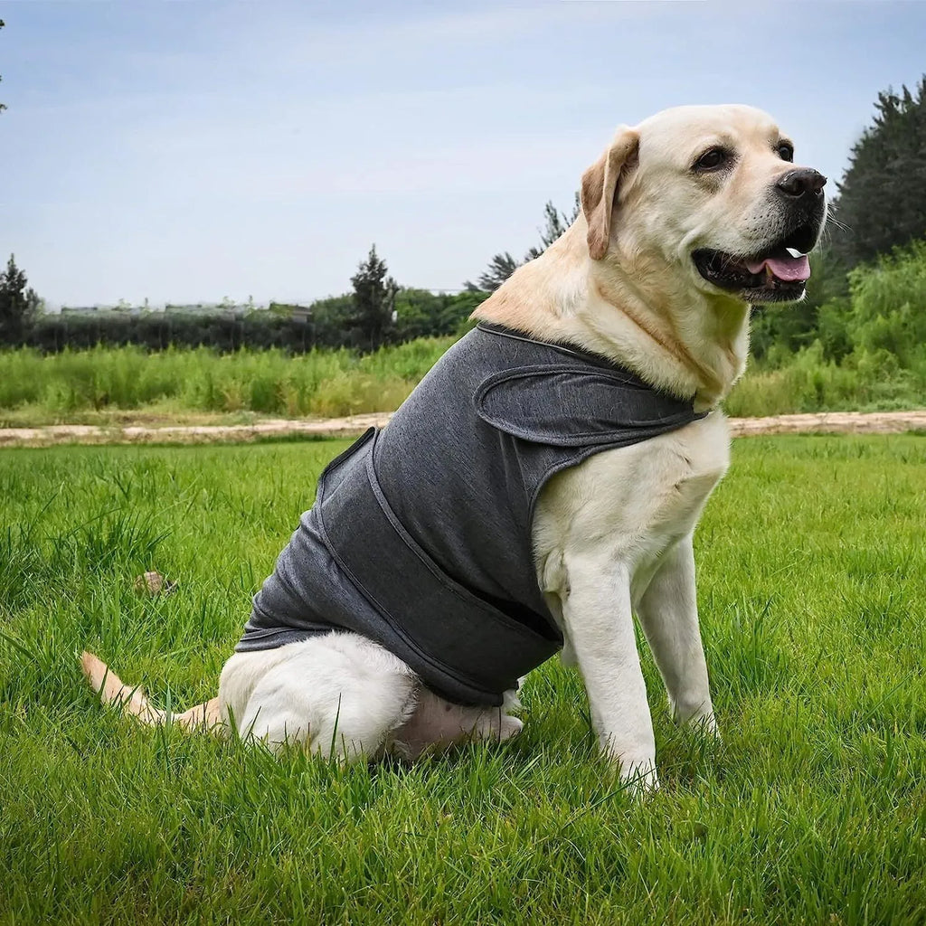 Classic Dog Anxiety Jacket breathable thunder vest in a neutral colour, shown on a calm dog, with multiple size options from XS to XXXL