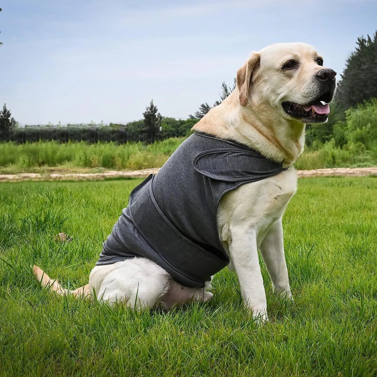 Classic Dog Anxiety Jacket breathable thunder vest in a neutral colour, shown on a calm dog, with multiple size options from XS to XXXL