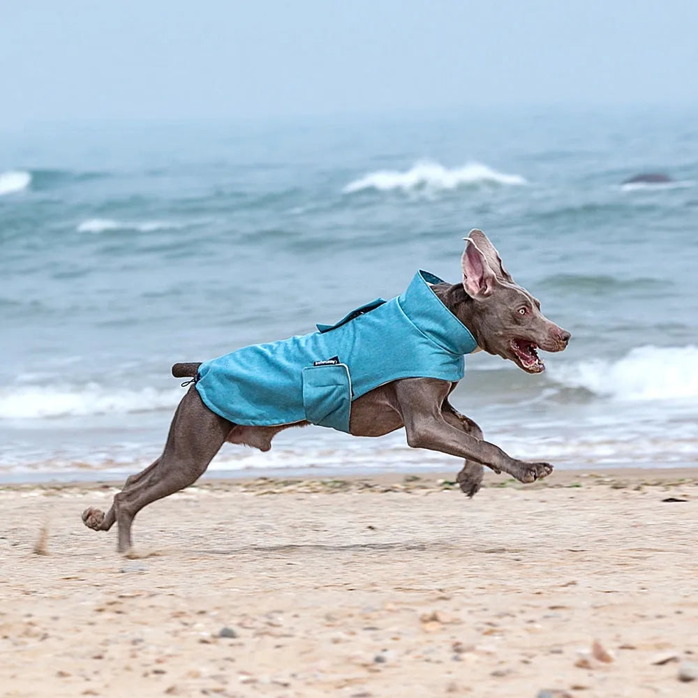 Cold-proof dog vest in rose red, light blue, or grey polyester for medium to large dogs