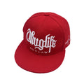 Embroidered letters two-colour street hip hop hat dome crown polyester adult 56-60cm outdoor