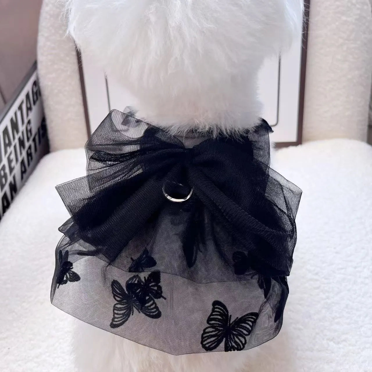 Black layered tulle princess skirt on a small dog, showing chest fit and back length.