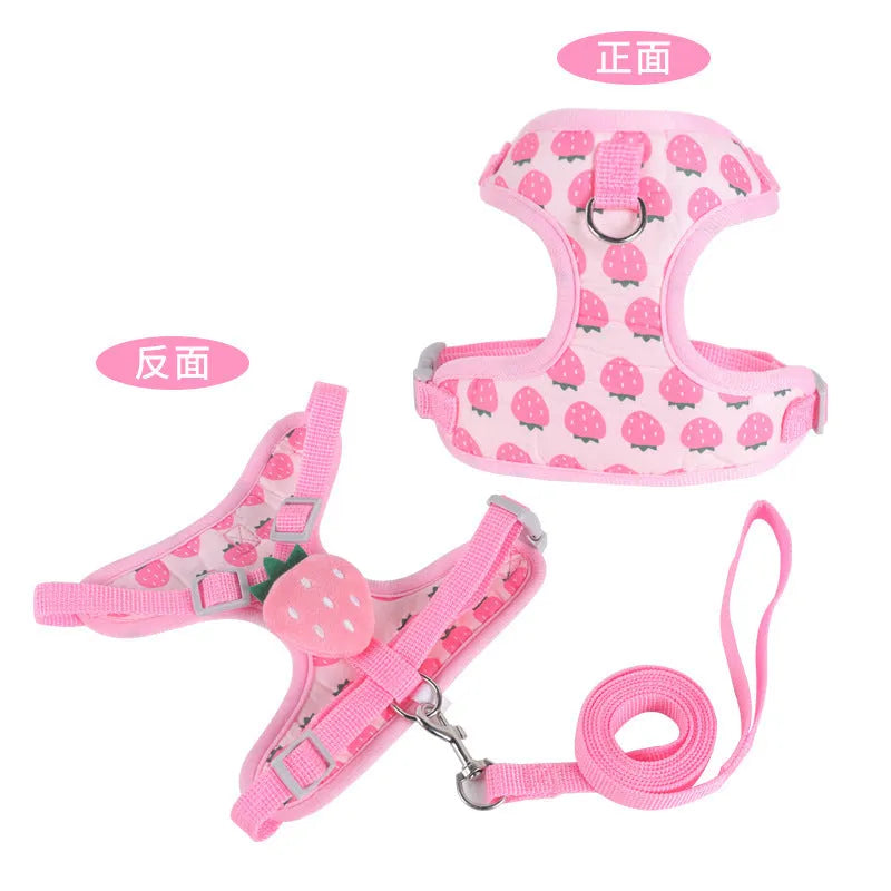Reflective chest strap vest and lead set for small dog walking in bright colours