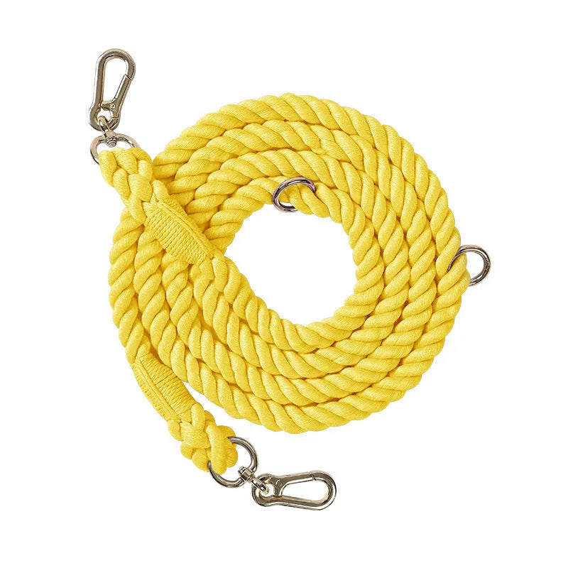 Woven rainbow coloured dog leash with clips at both ends, shown in a choice of colours with silver or gold fittings.