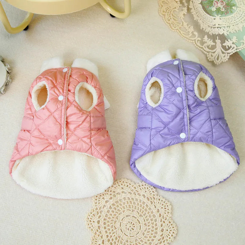Small dog wearing pink or purple thickened cotton-style skirt - pet clothing in sizes XS to XL