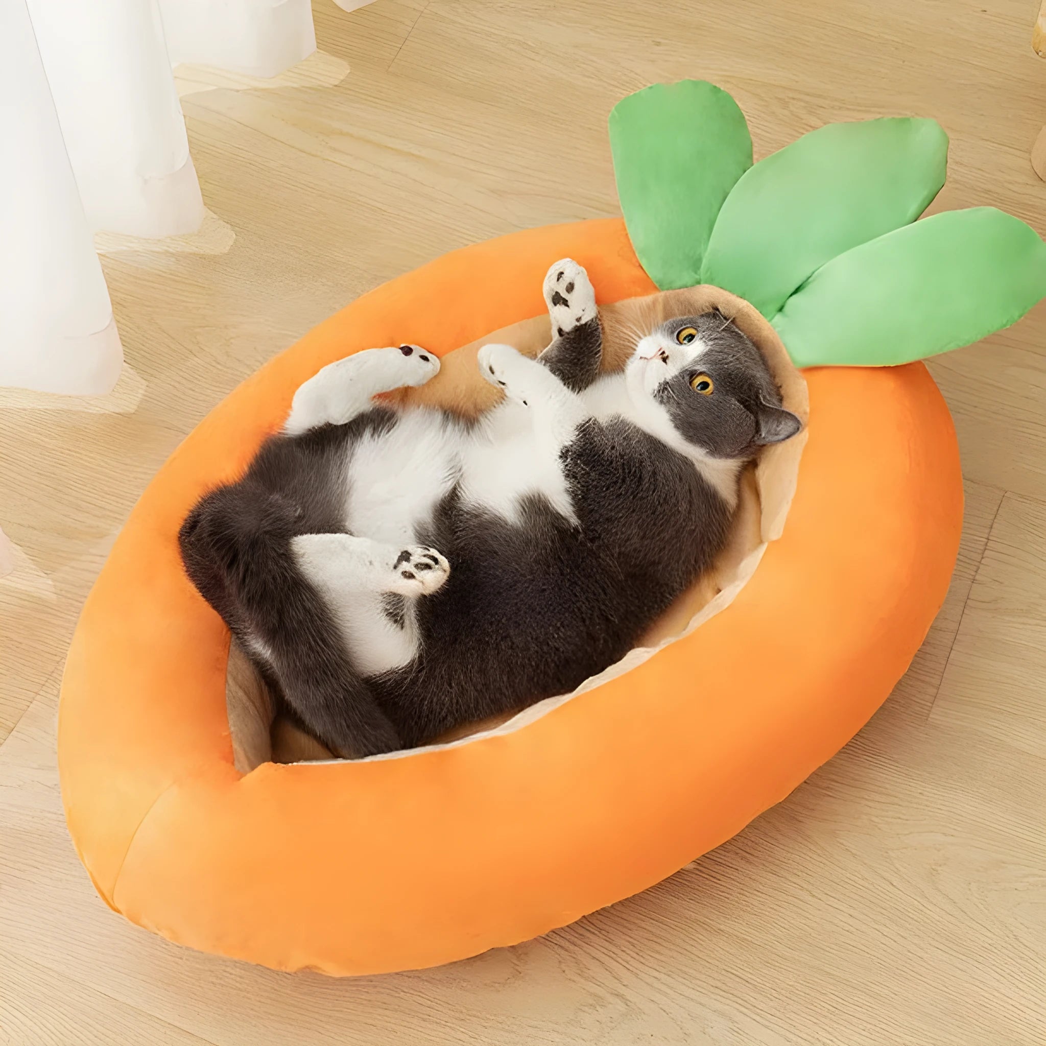 Carrot cartoon design removable washable cloth dog bed mat in M and L sizes
