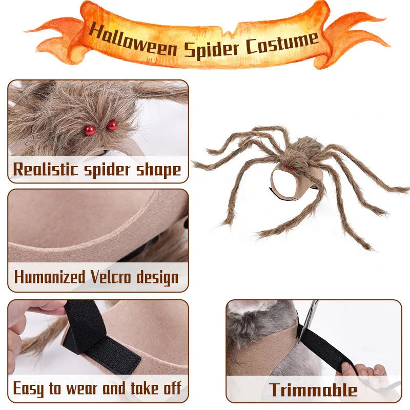 Grey, brown, and black with purple big spider costume for a dog or cat on a white background.