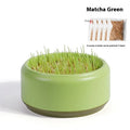 Blue hydroponic cat grass kit with a reusable pot and five packs of seeds for soilless growing.