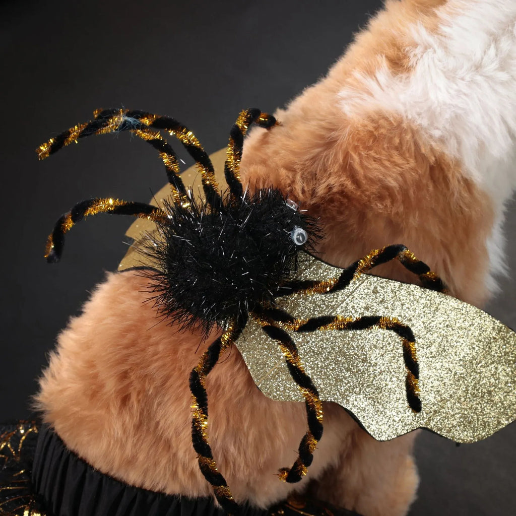 Halloween dog costume suit in polyester fabric shown on a pet, available in sizes small, medium, large, and extra large.