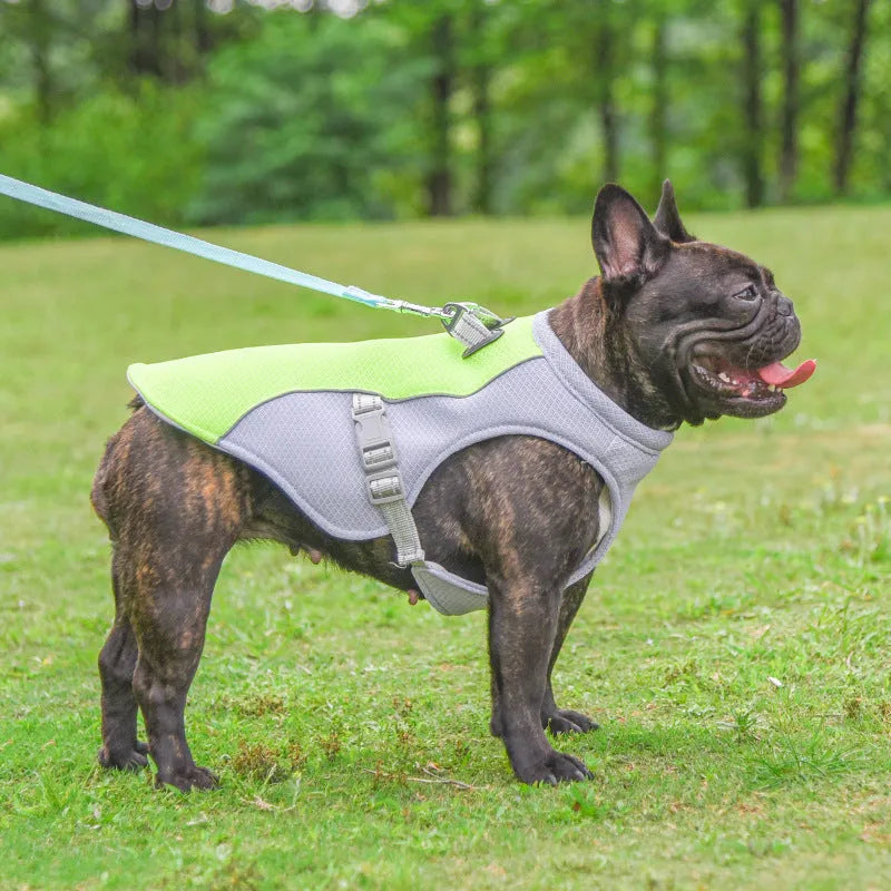 Orange polyester dog cooling vest showing layered construction for summer heat and sun protection.