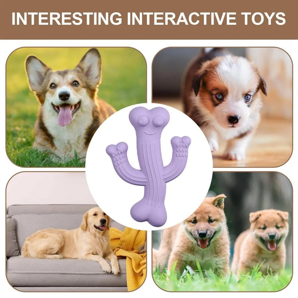 Cactus-shaped dog chew toy in bamboo fibre and rubber, shown in beige, blue, and purple colours.