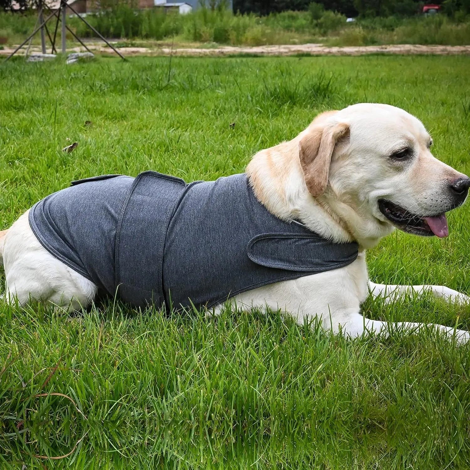 Classic Dog Anxiety Jacket breathable thunder vest in a neutral colour, shown on a calm dog, with multiple size options from XS to XXXL
