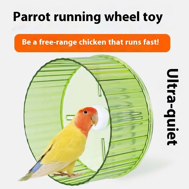 A transparent plastic running wheel toy for parrots, shown next to green and purple colour options.