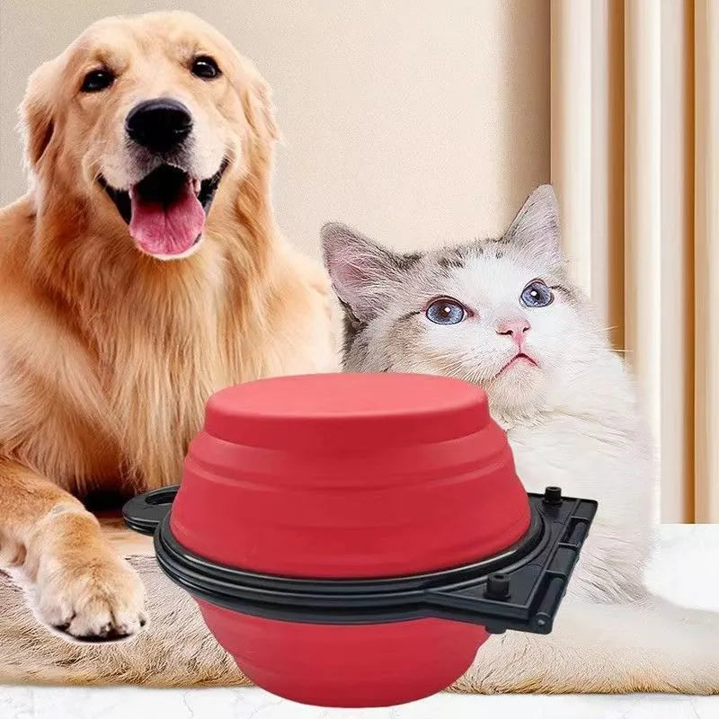 Silicone folding double pet bowl shown open and folded flat in various colours