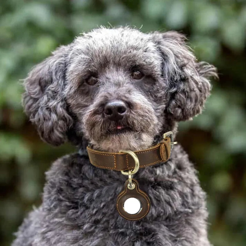 Brown handmade leather dog collar with halter positioning and retro styling