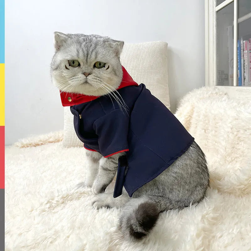Green pet hoodie costume for a cat or dog worn as a festive photo prop.