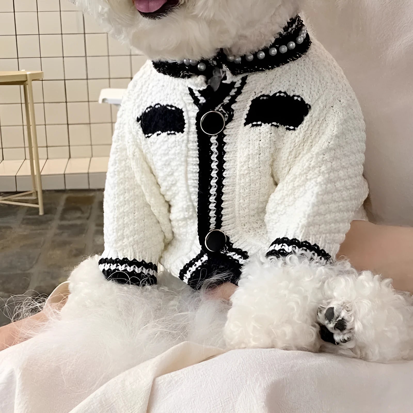 Korean style white puppy sweater with pearl collar for small dogs in XS to XL sizes