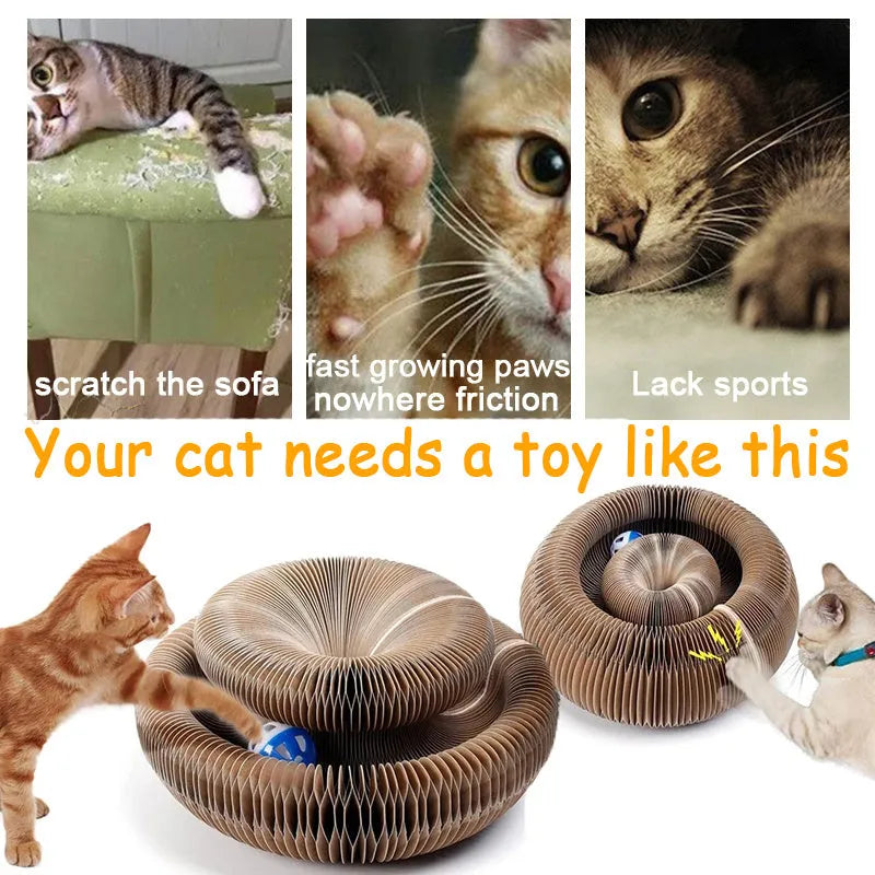 Pet magnetic folding organ toy cat scratch board in white with ball and menthol accessories on paper surface