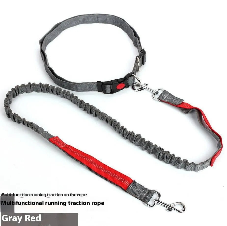 Gray and green nylon dog leash with reflective filament sling for outdoor night safety