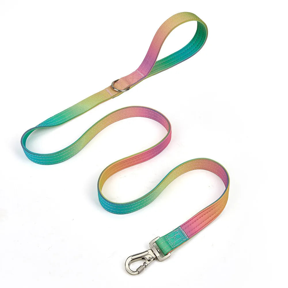 Widened gradient colour dog collar and leash set in blue purple combination with 2.5cm nylon construction