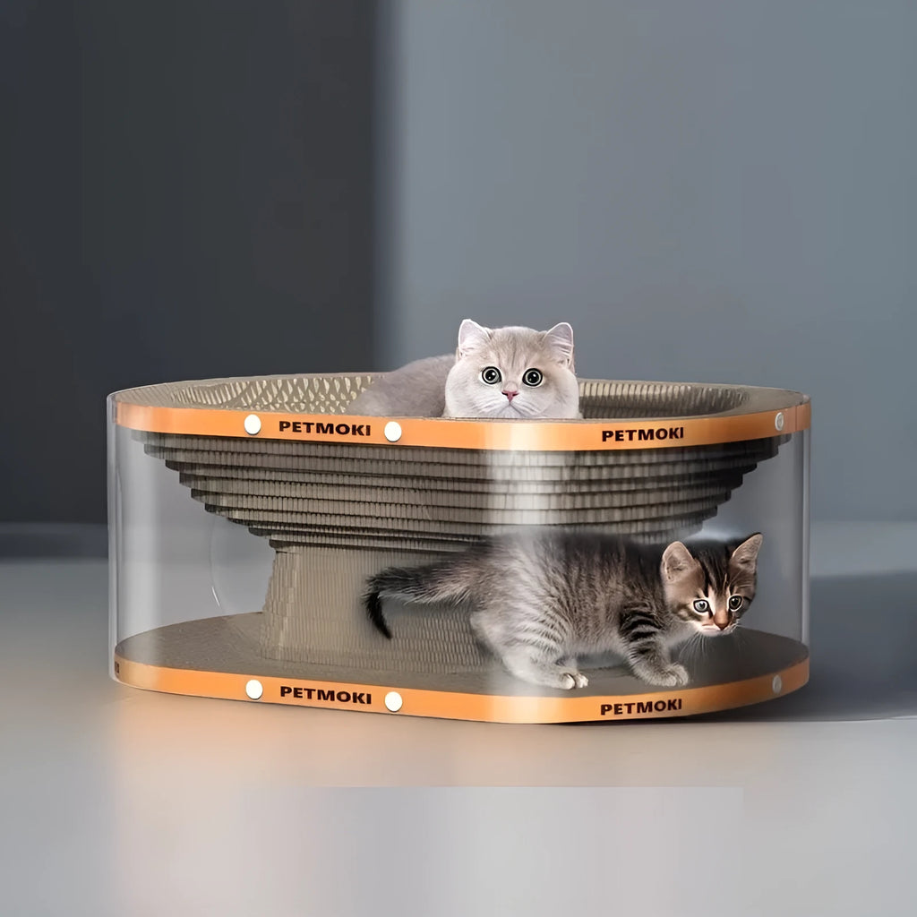 White transparent PVC tunnel cat nest with integrated corrugated cardboard scratch panel, dimensions 58x45x23cm