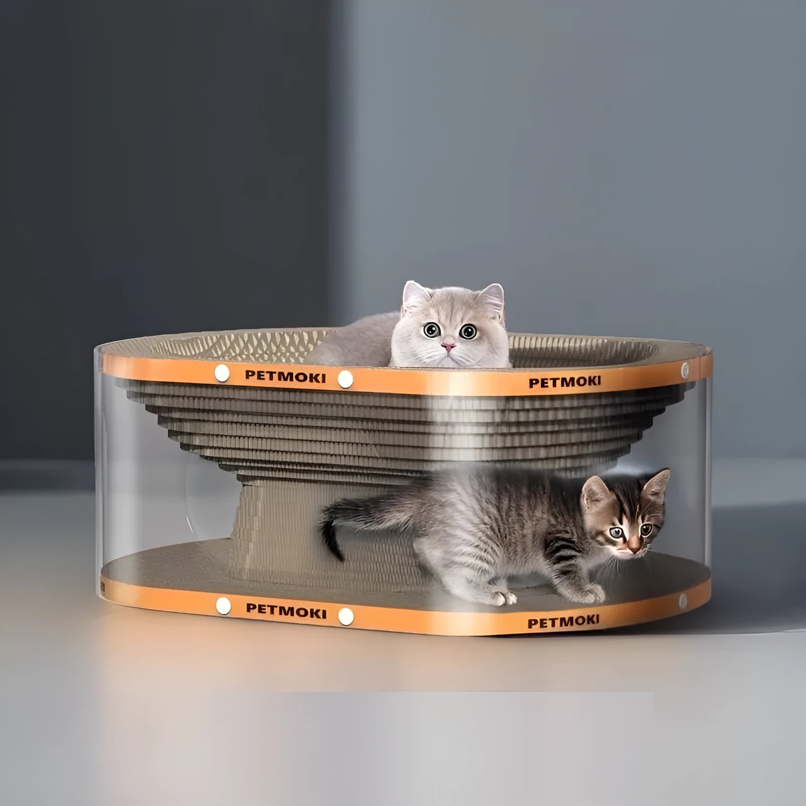 White transparent PVC tunnel cat nest with integrated corrugated cardboard scratch panel, dimensions 58x45x23cm