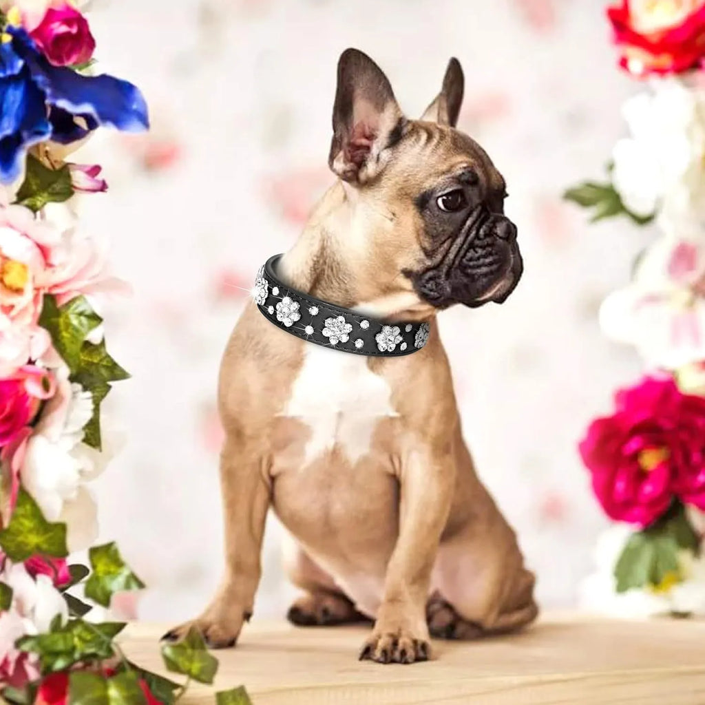 A decorative black PU leather dog collar with a sparkling rhinestone flower pattern and silver metal studs, shown adjusted with a metal D-ring.