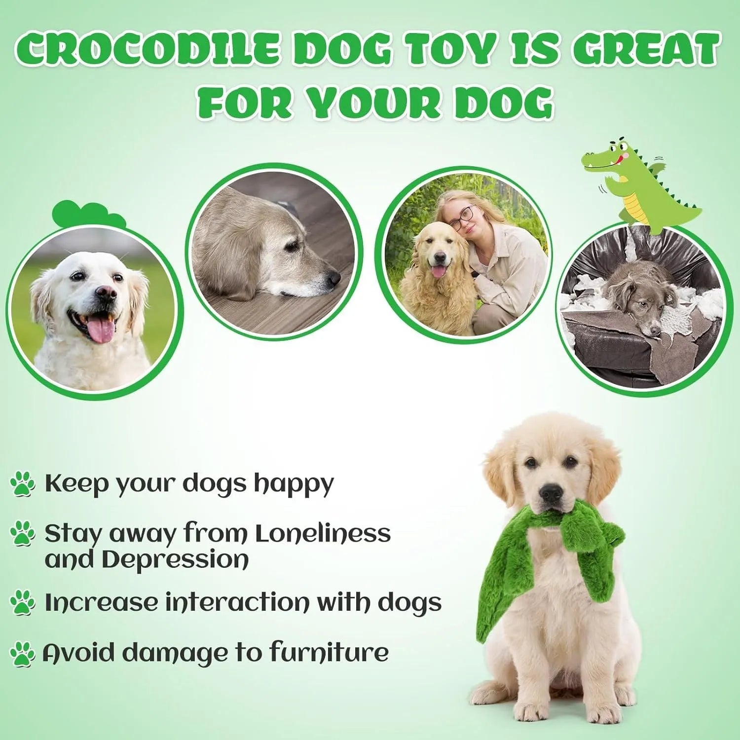 Green plush crocodile dog toy with no stuffing, squeaker in head, crinkle paper in tail, for aggressive chewers
