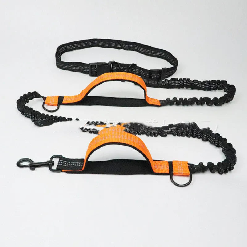 Polyester pet running belt with scalable dog lead in fluorescent green, orange or sapphire blue