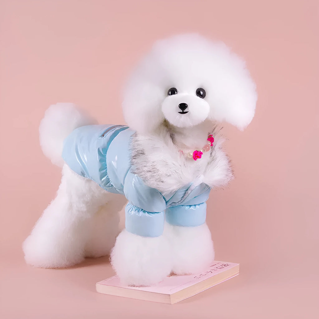 Blue British-style thick cotton winter jacket for a dog on a winter day.