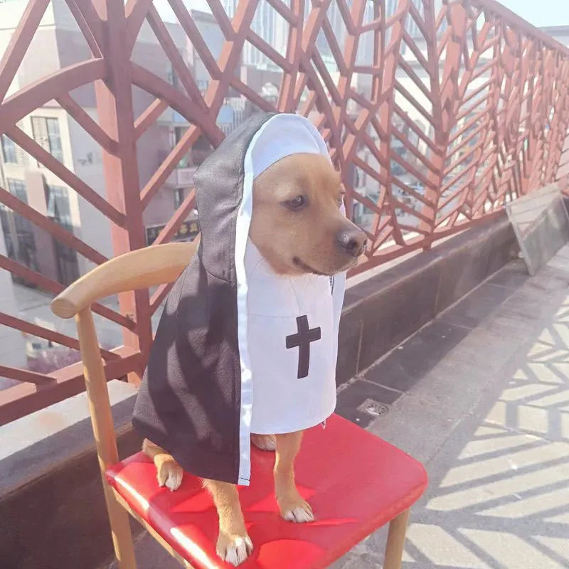 Black and white nun costume cloak on a small dog, showing the pullover design.