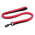 Anti-violence elastic dog training leash in green with zinc alloy clip for medium and large dogs