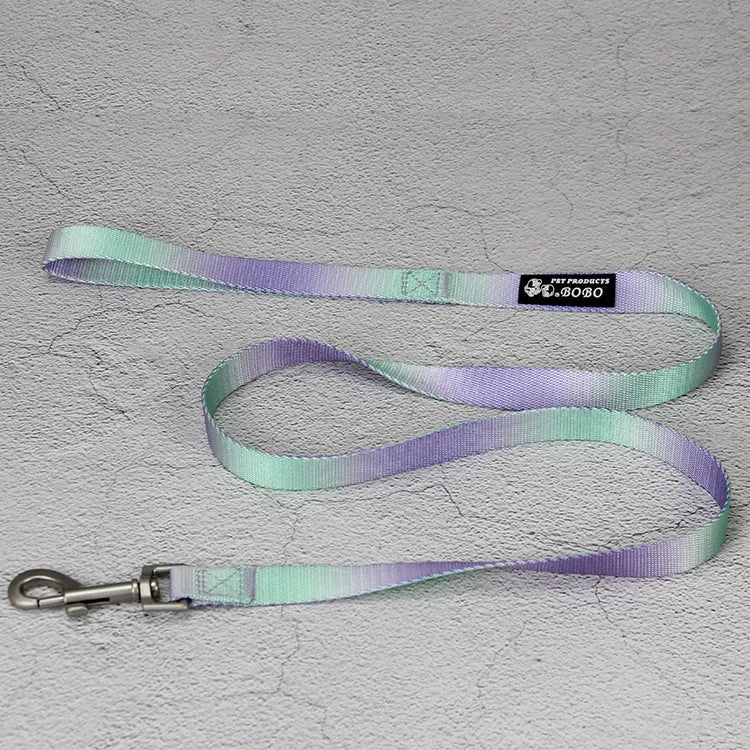 Gradient colour dog leash set showing nylon collar, harness, and matching lead in pink and yellow combination