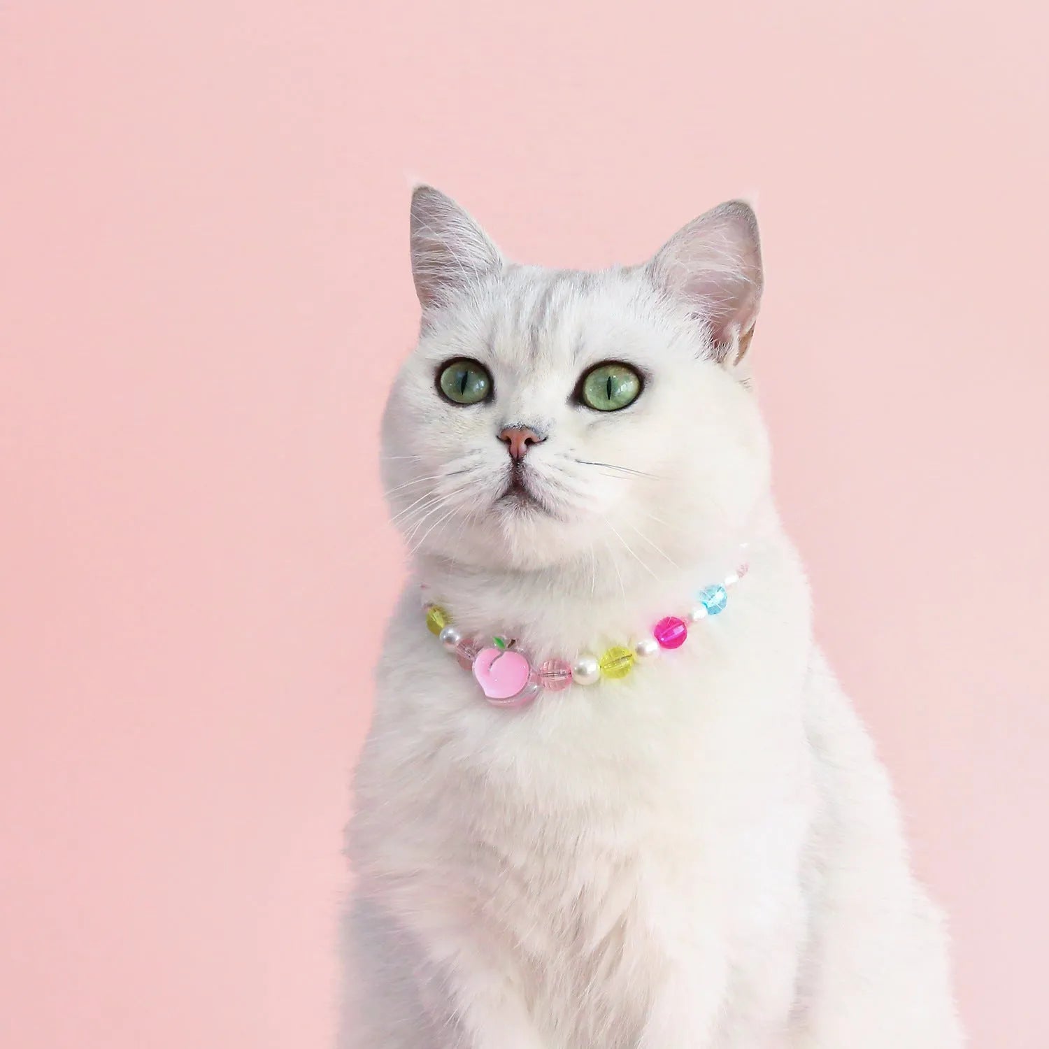 Colourful plastic bead pet necklace for cats in peach, rainbow, or small flower patterns on a white background.